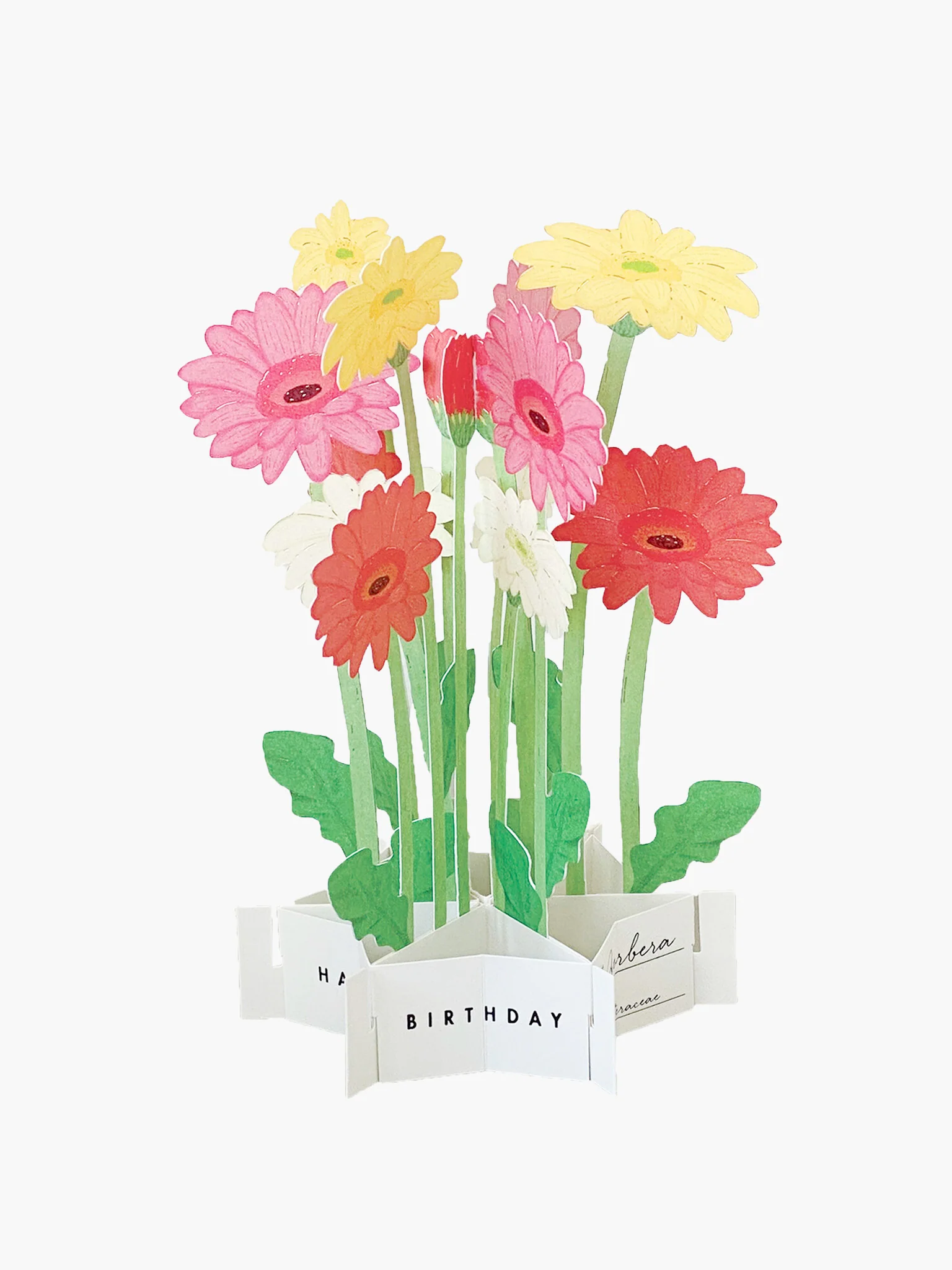 Birthday Blooming Pop-Up Card - Gerbera