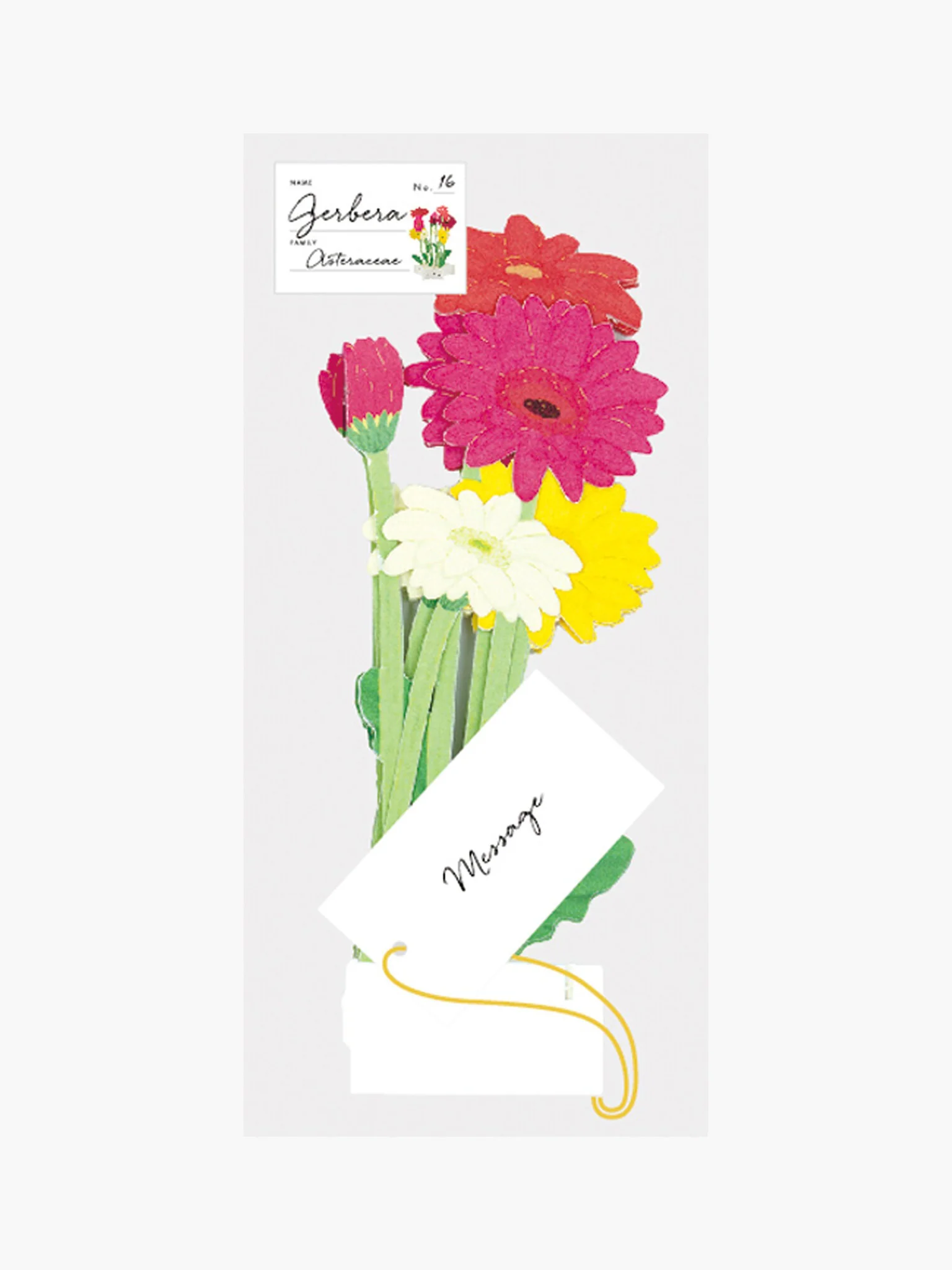 Birthday Blooming Pop-Up Card - Gerbera - Image 2