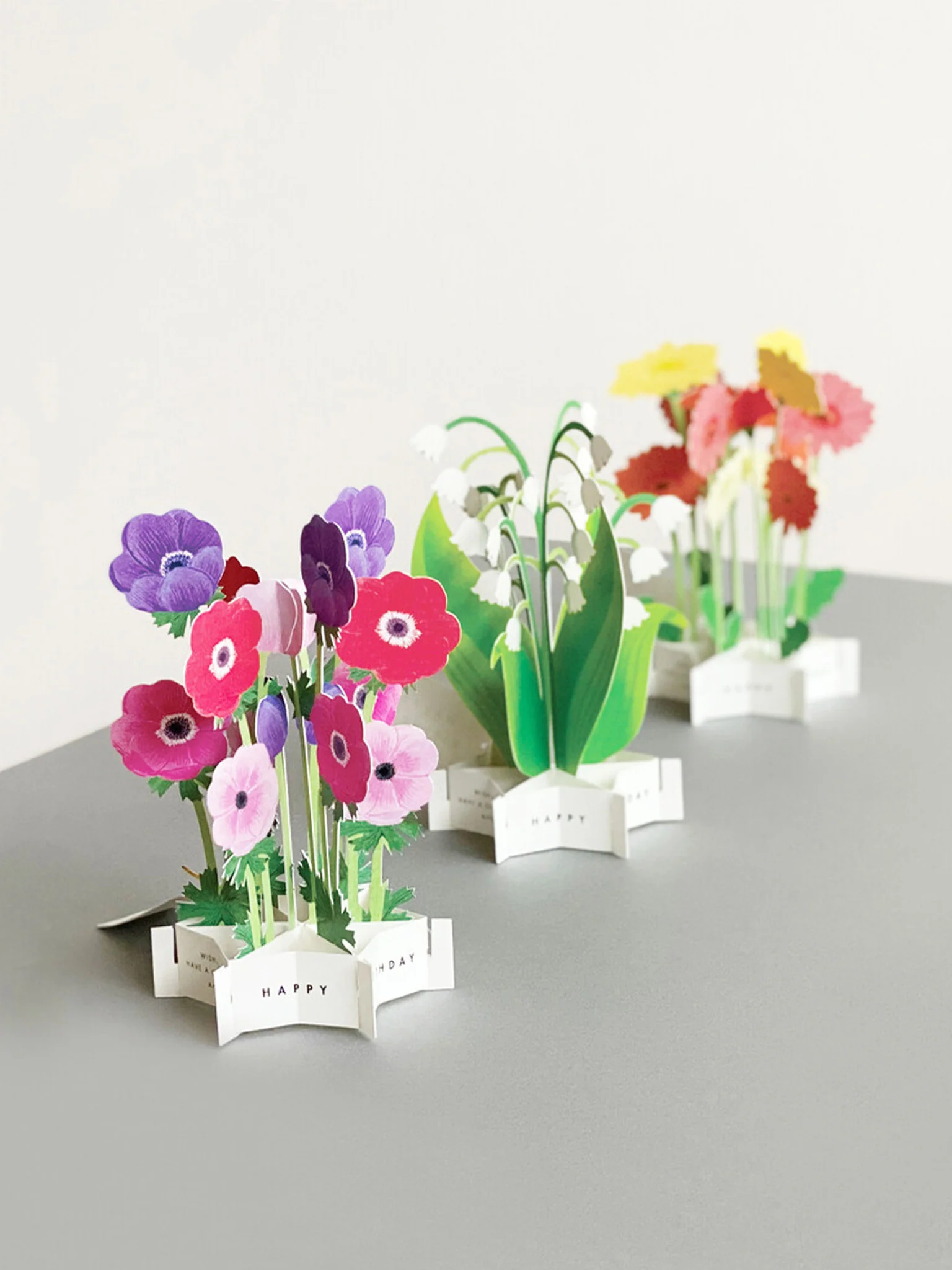 Birthday Blooming Pop-Up Card - Gerbera - Image 3
