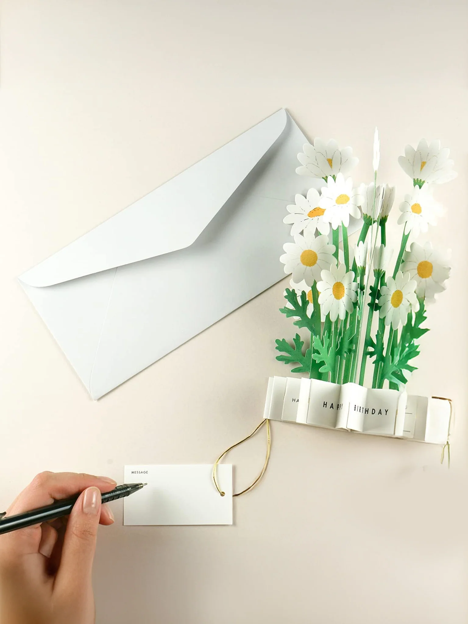 Birthday Blooming Pop-Up Card - Marguerite Daisy - Image 2