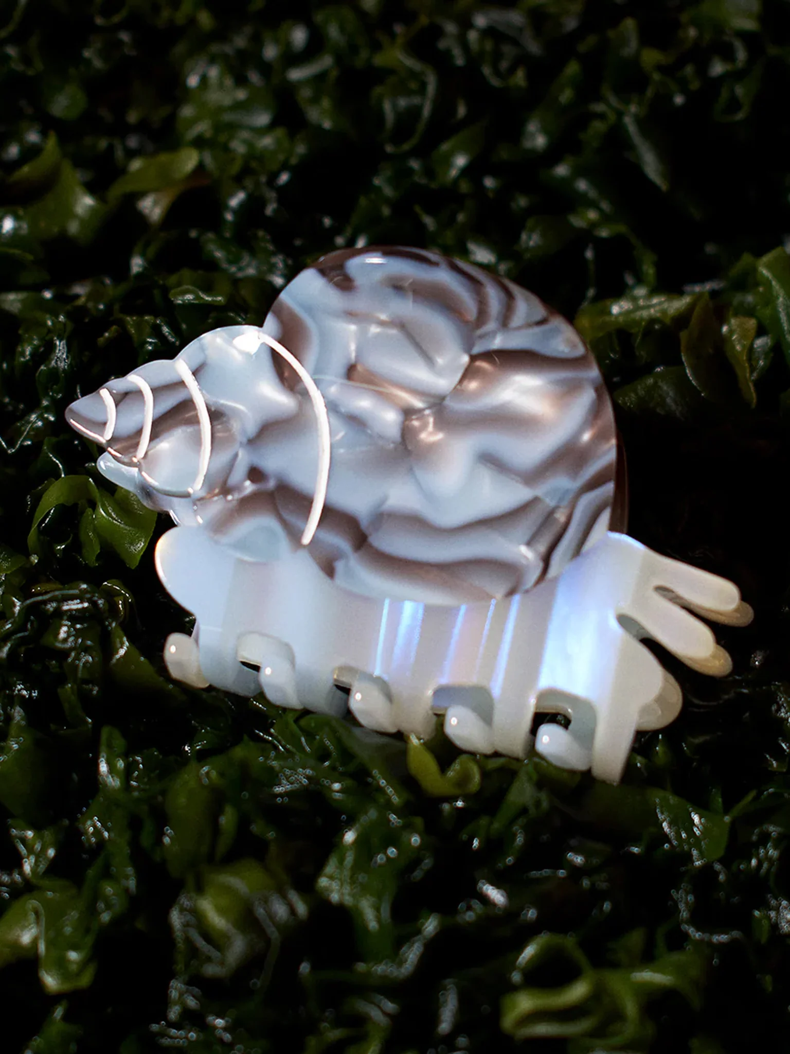 Blue Whelk Sea Snail Claw - Image 2