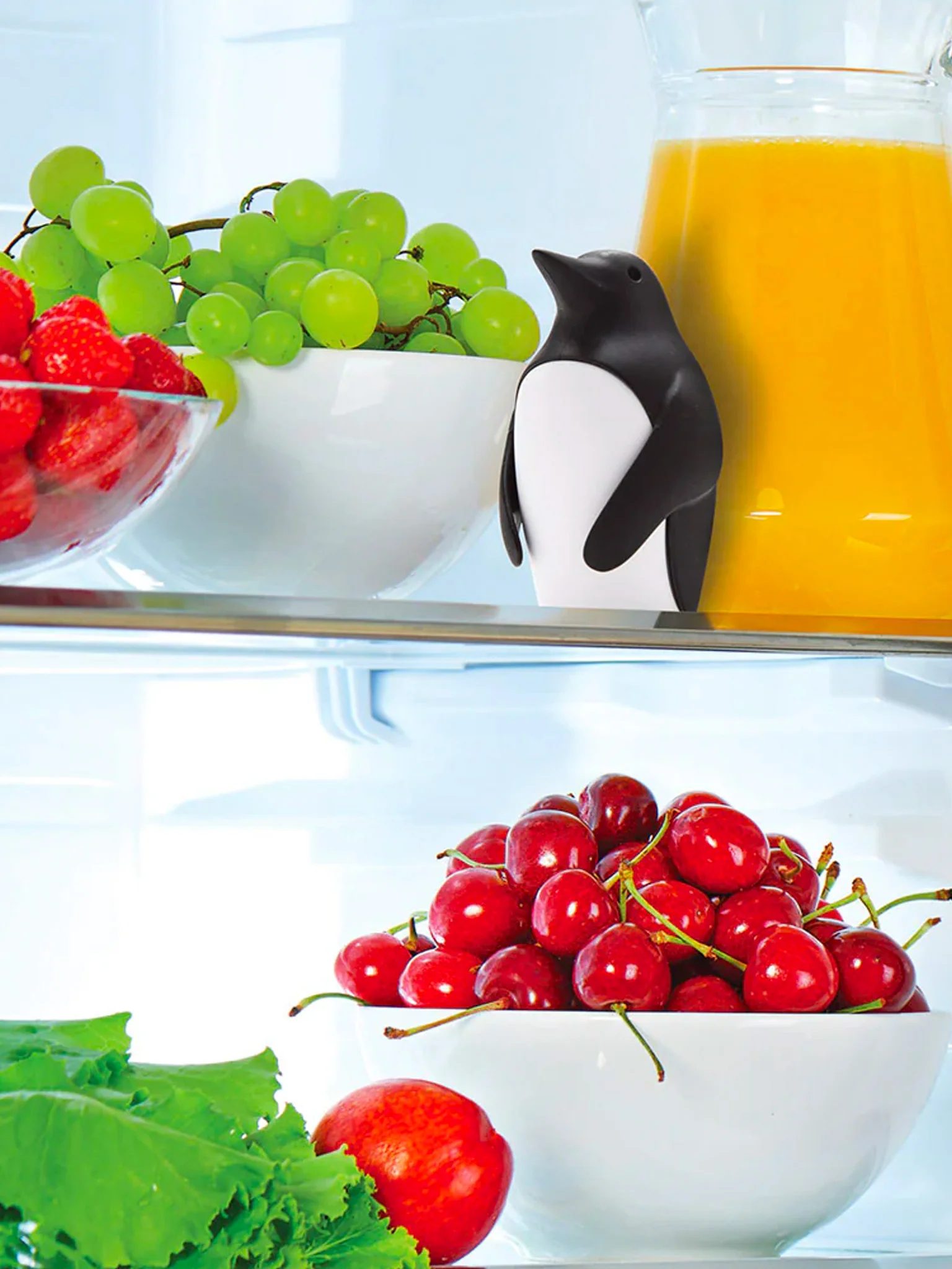 Chill Bill - Penguin Fridge Deodoriser - Image 3