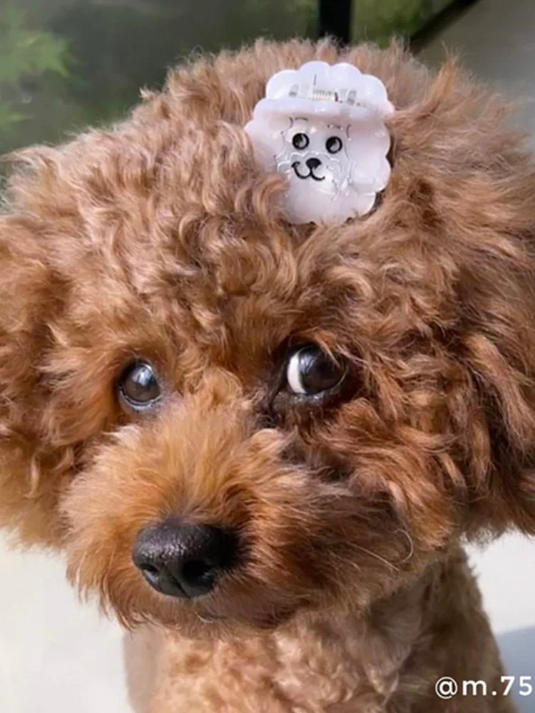 Bichon Mini Hair Claw - Image 3