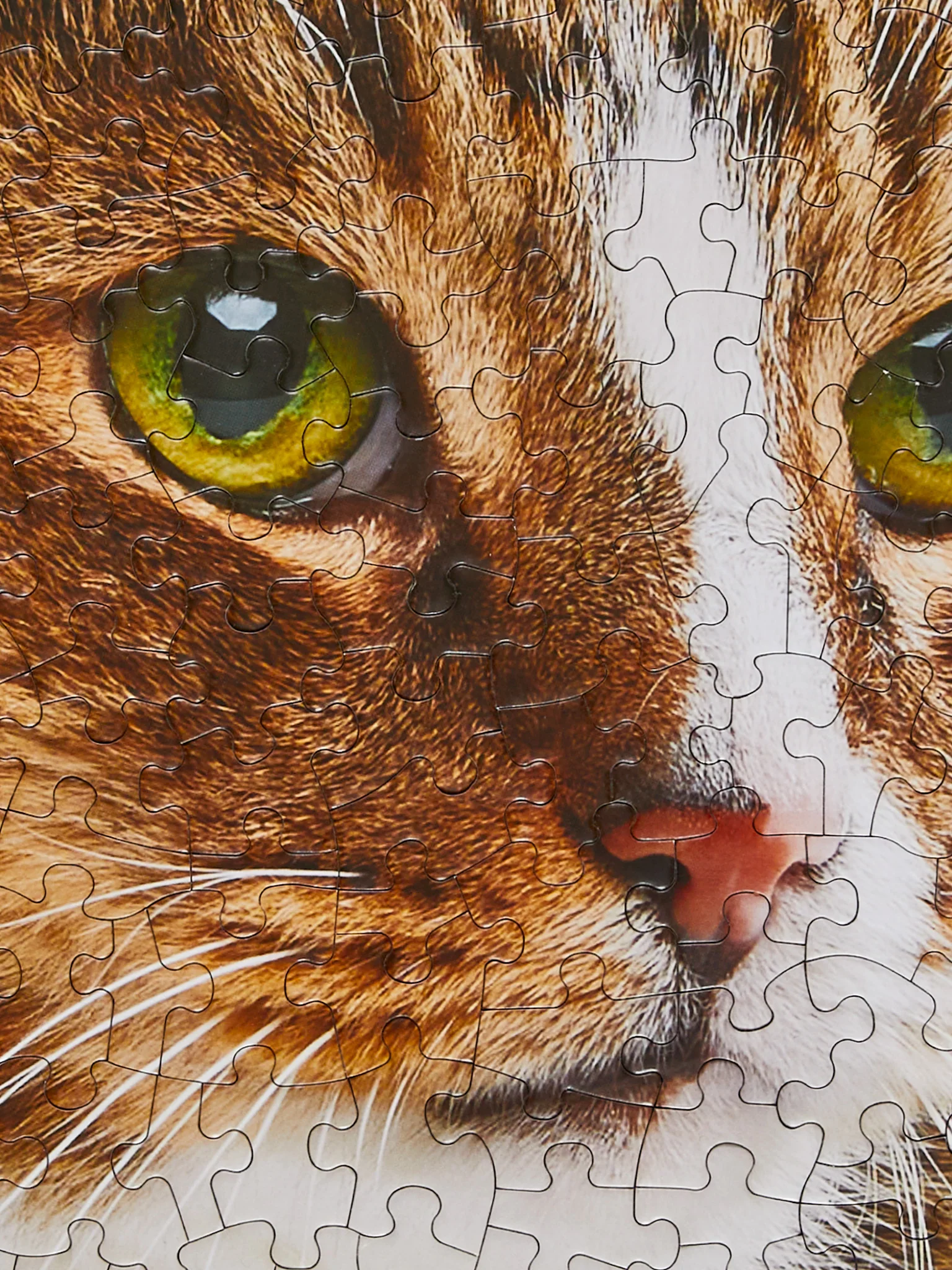 Howdy Paw-tner Puzzle - 500pcs - Image 4
