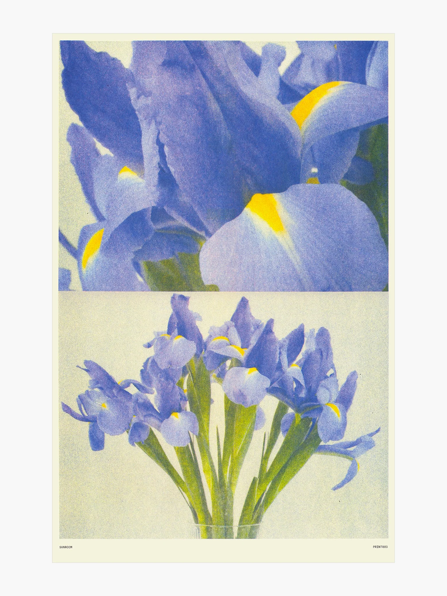 Iris - Risograph Print (A3)