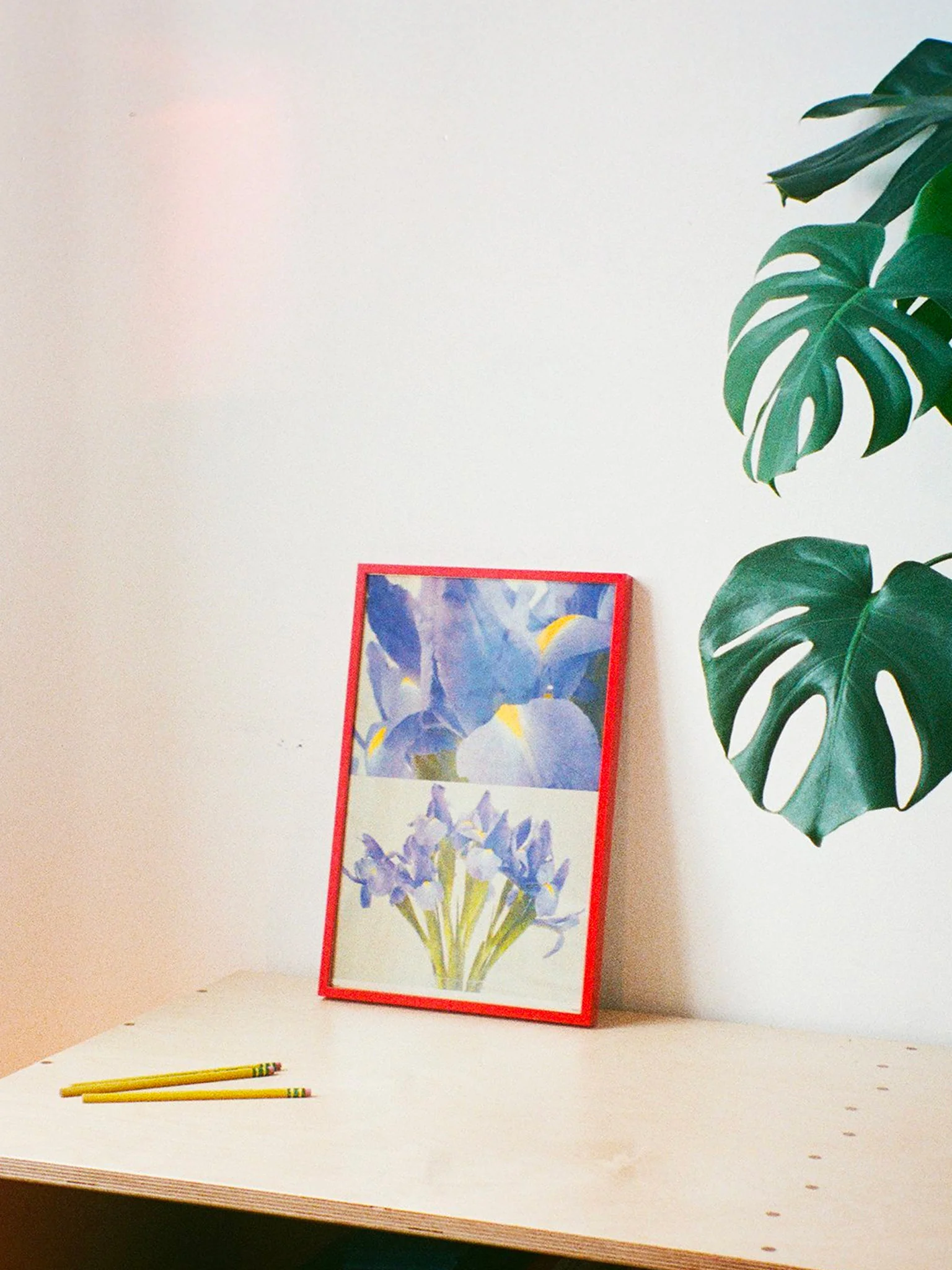 Iris - Risograph Print (A3) - Image 2