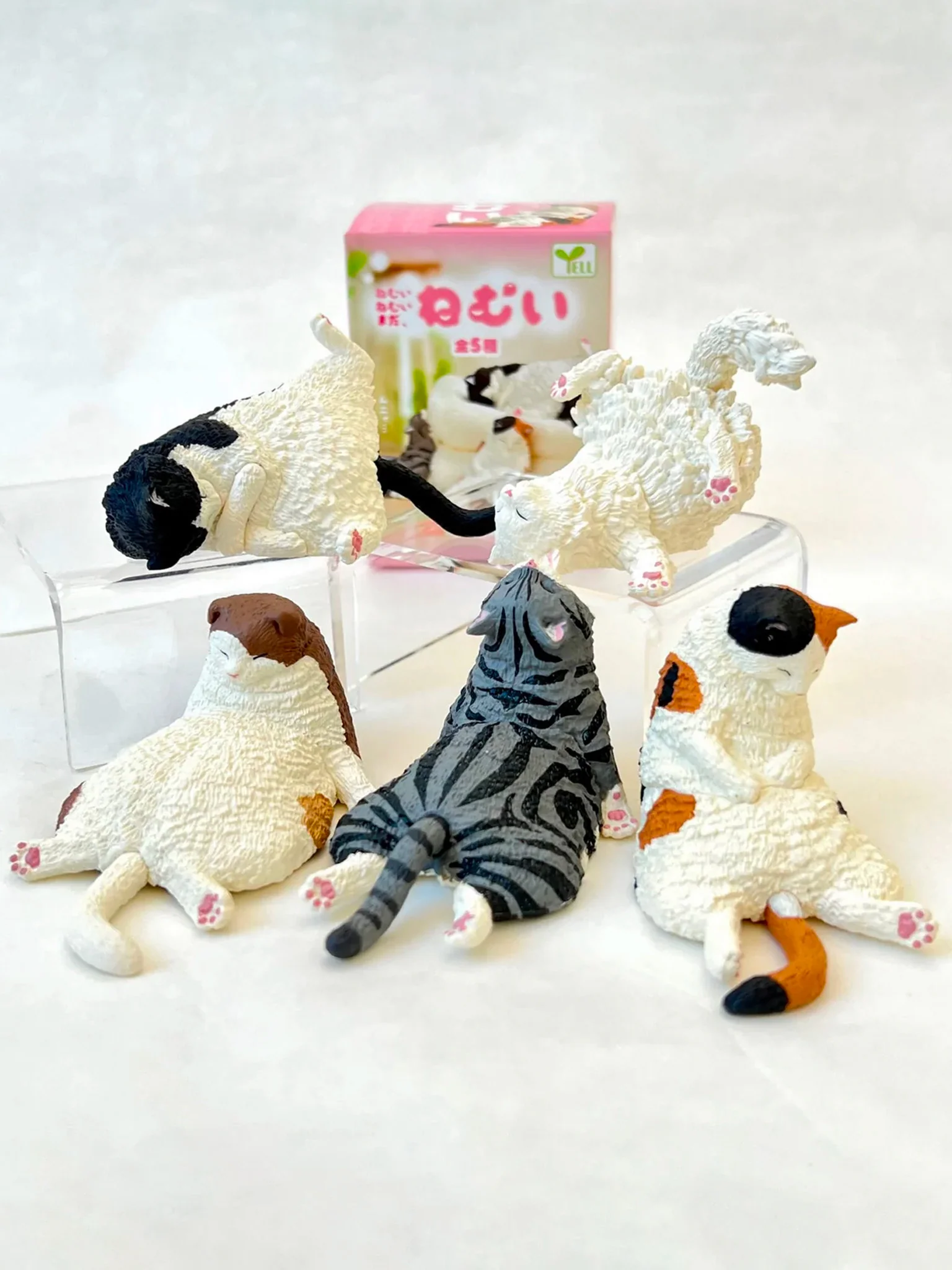 Kyomu Blind Box - Sleepy Cats - Image 2