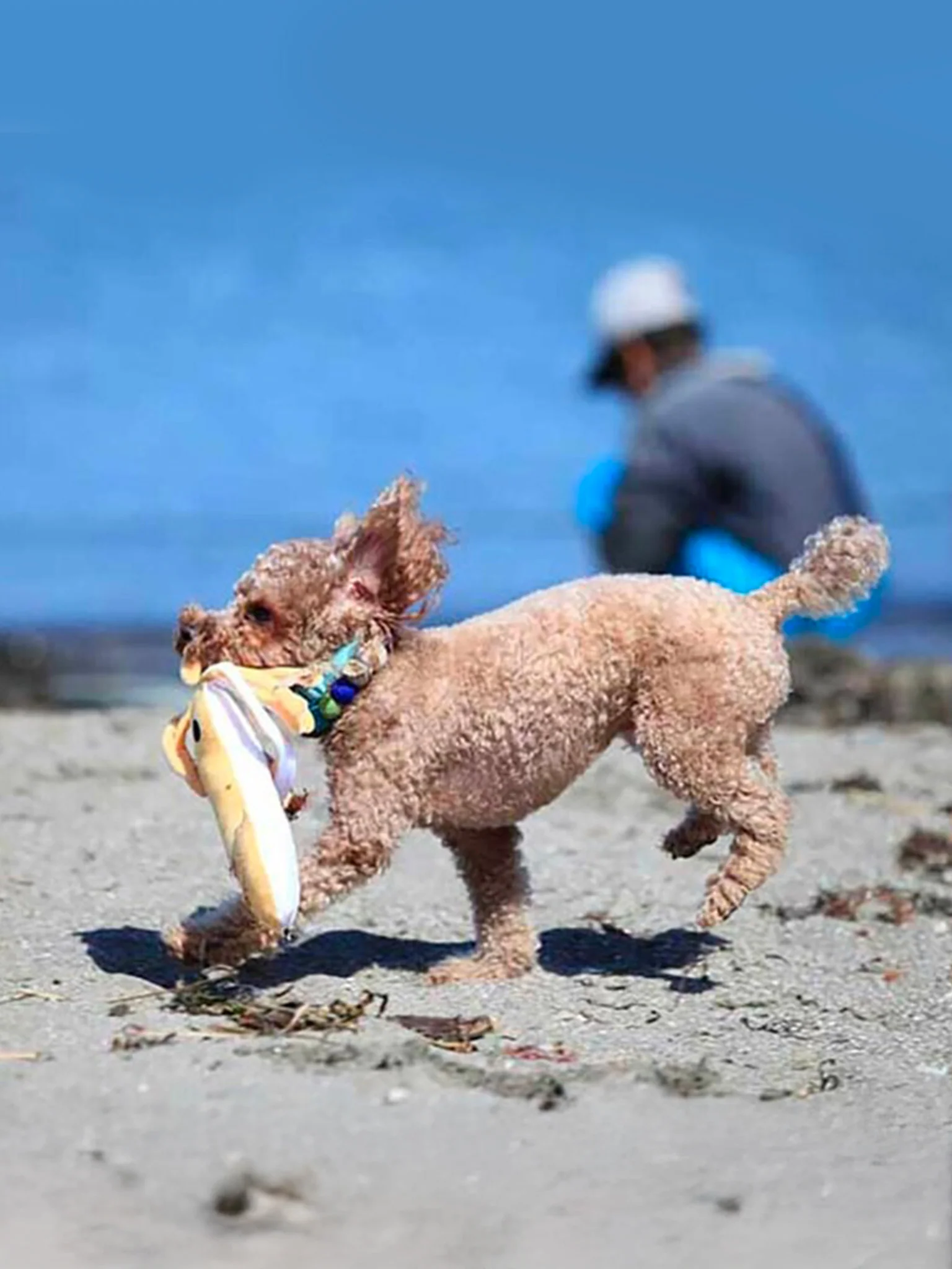 LOVE PETS Dog Toy - Giant Squid - Image 2