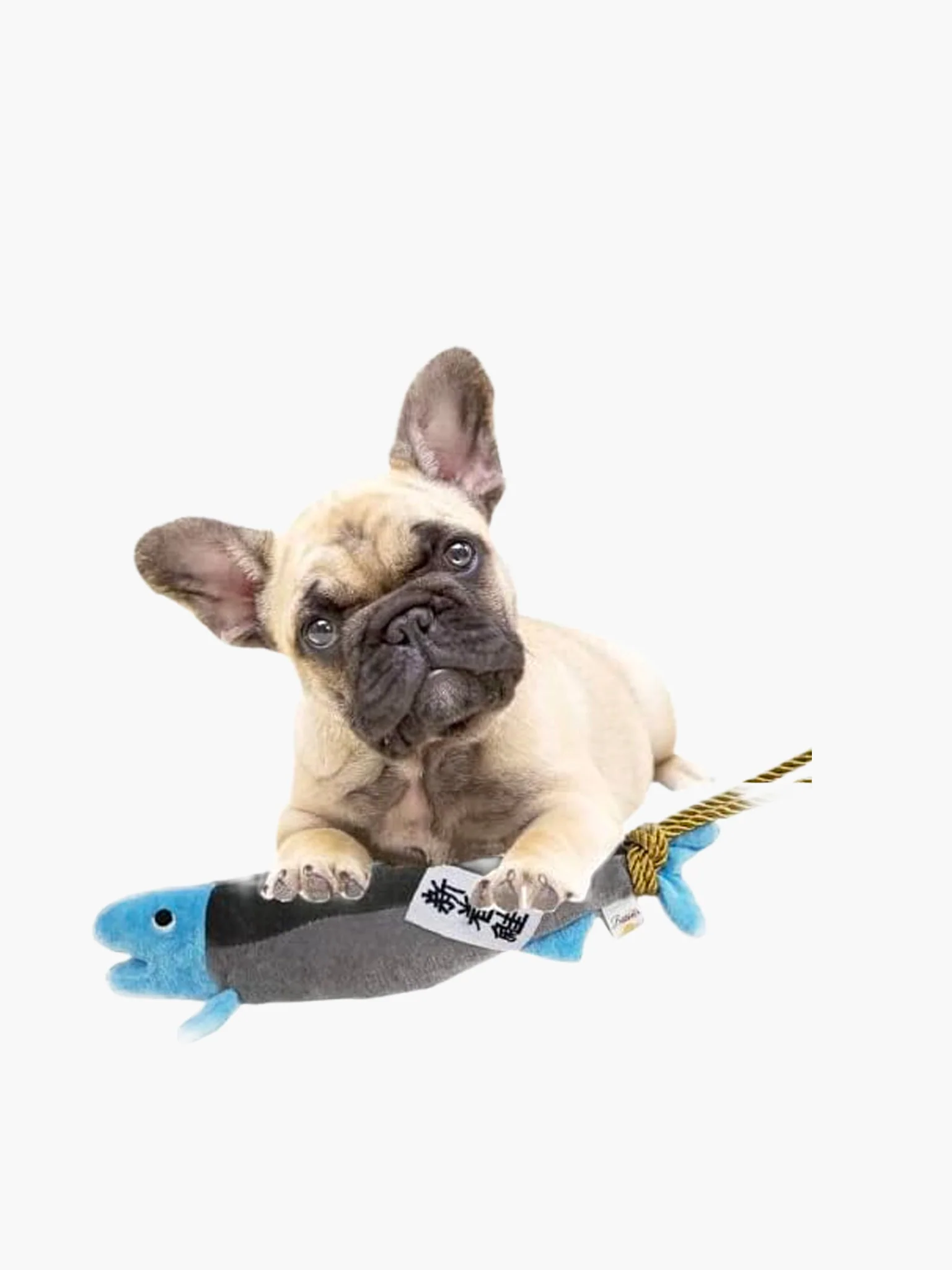 LOVE PETS Dog Toy - Salmon - Image 2
