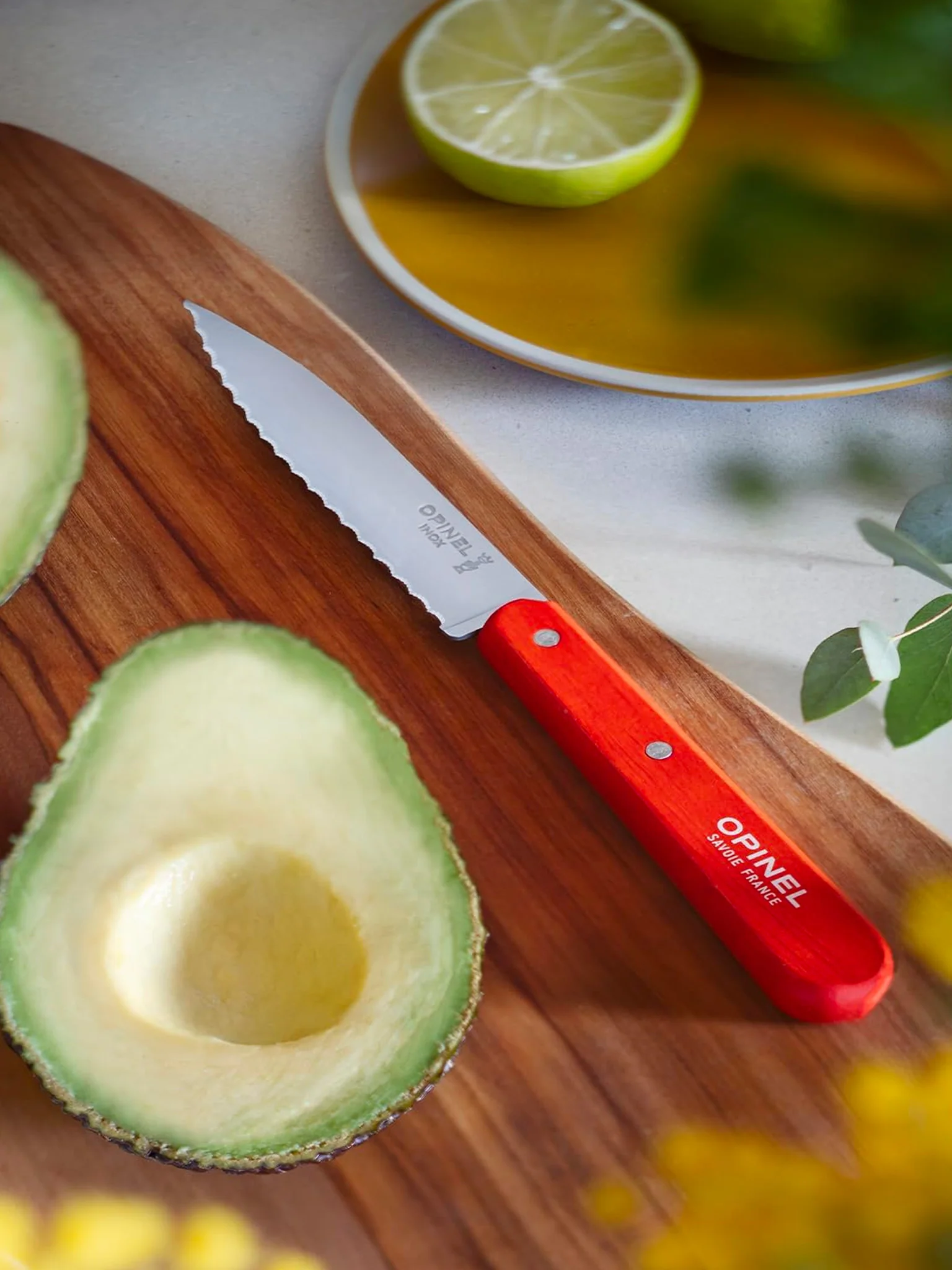 N°113 Serrated Knife (10cm) - Tangerine - Image 2