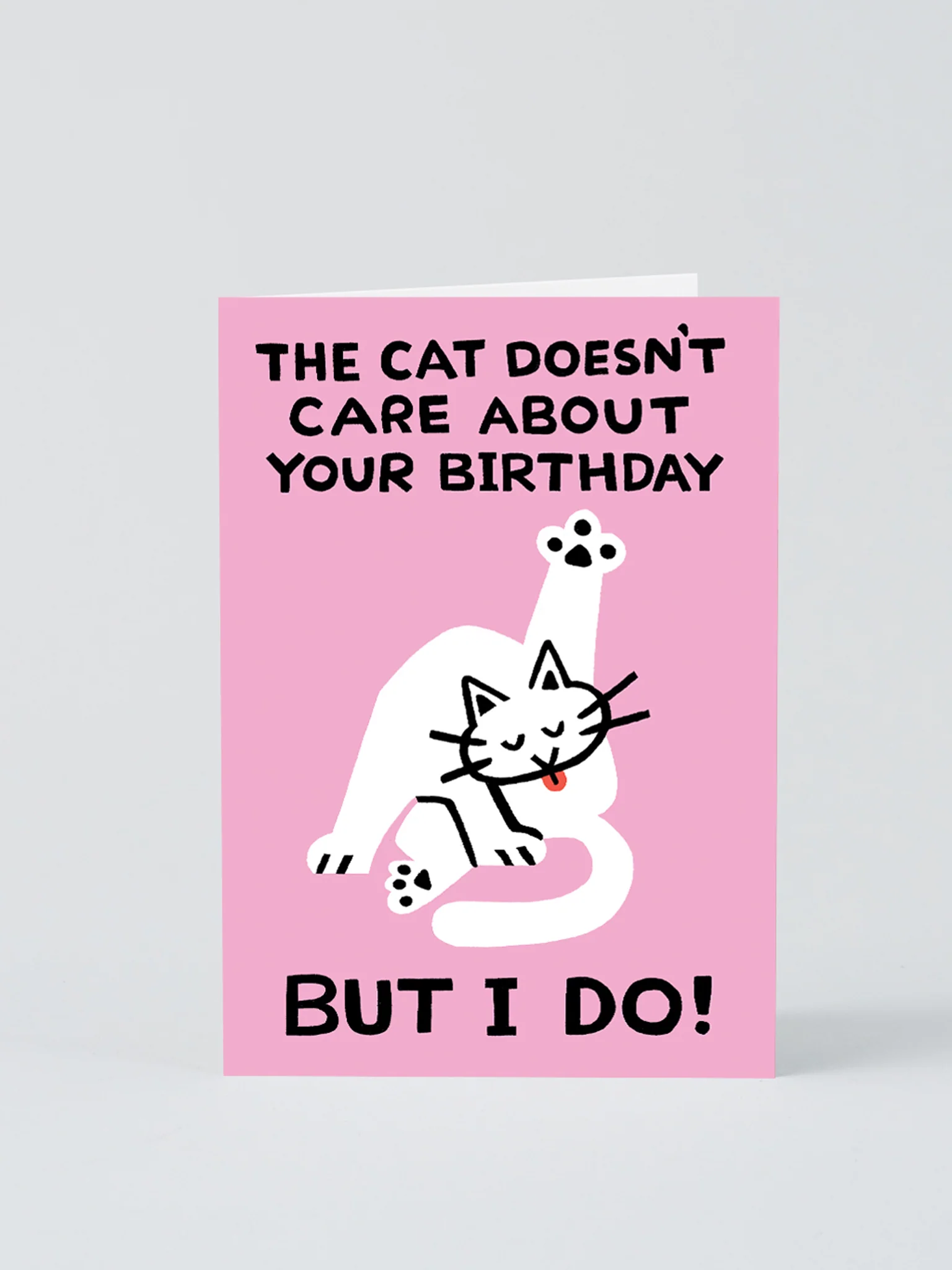 The Cat Doesn't Care Card x Cari Vander Yacht - Image 2